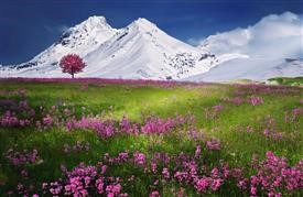 &quot;One Call Flower Delivery Dallas